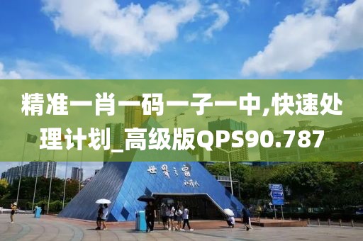精准一肖一码一子一中,快速处理计划_高级版QPS90.787