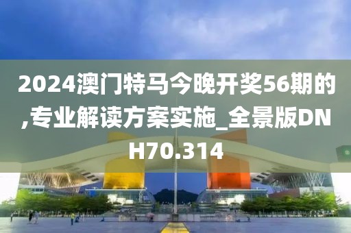 2024澳门特马今晚开奖56期的,专业解读方案实施_全景版DNH70.314