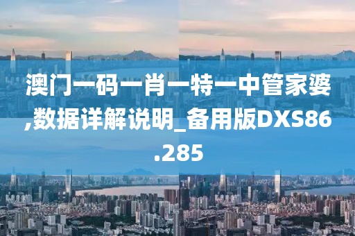 澳门一码一肖一特一中管家婆,数据详解说明_备用版DXS86.285