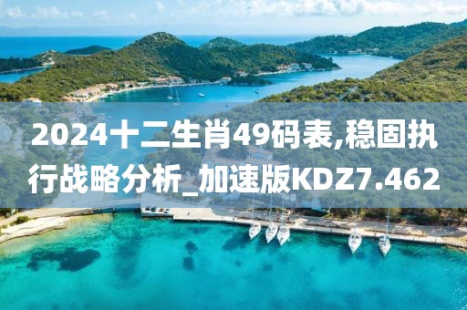 2024十二生肖49码表,稳固执行战略分析_加速版KDZ7.462