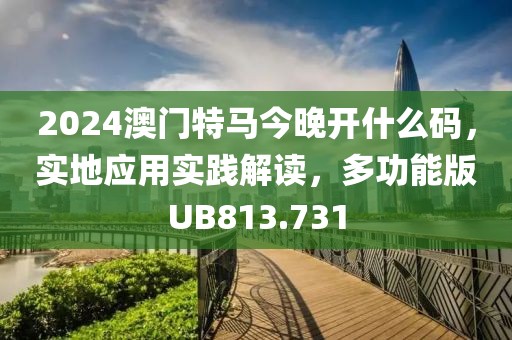 2024澳门特马今晚开什么码，实地应用实践解读，多功能版UB813.731