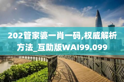 202管家婆一肖一码,权威解析方法_互助版WAI99.099