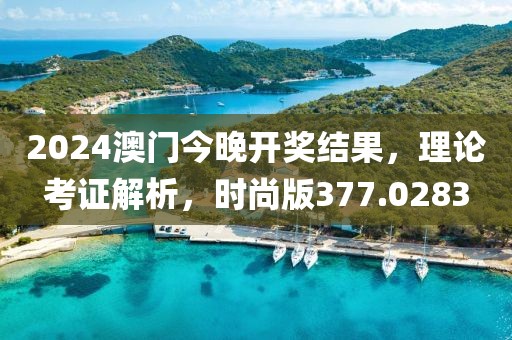 2024澳门今晚开奖结果，理论考证解析，时尚版377.0283