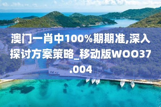 澳门一肖中100%期期准,深入探讨方案策略_移动版WOO37.004