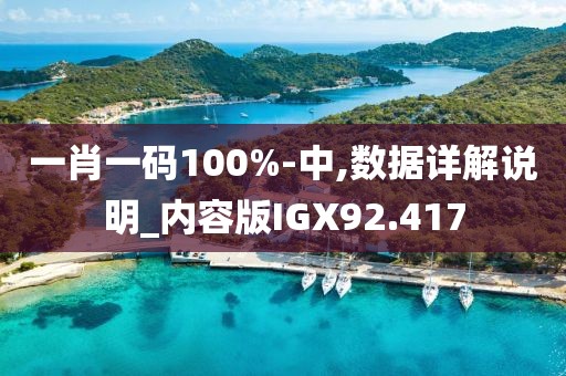 一肖一码100%-中,数据详解说明_内容版IGX92.417