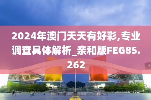 2024年澳门天天有好彩,专业调查具体解析_亲和版FEG85.262