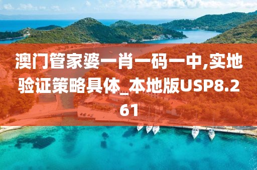 澳门管家婆一肖一码一中,实地验证策略具体_本地版USP8.261