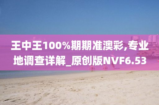 王中王100%期期准澳彩,专业地调查详解_原创版NVF6.53
