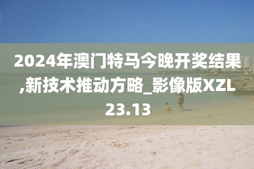 2024年澳门特马今晚开奖结果,新技术推动方略_影像版XZL23.13
