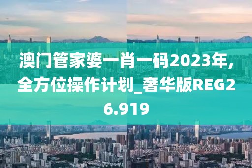 澳门管家婆一肖一码2023年,全方位操作计划_奢华版REG26.919
