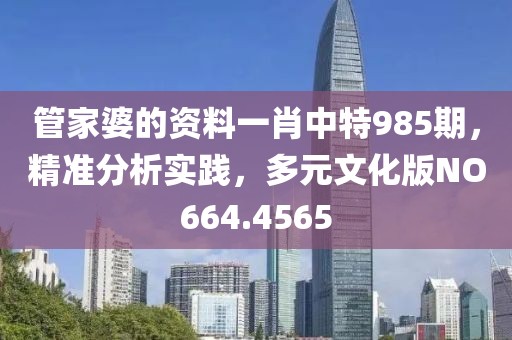 管家婆的资料一肖中特985期，精准分析实践，多元文化版NO664.4565