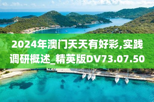 2024年澳门天天有好彩,实践调研概述_精英版DV73.07.50
