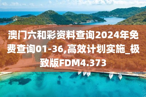 澳门六和彩资料查询2024年免费查询01-36,高效计划实施_极致版FDM4.373