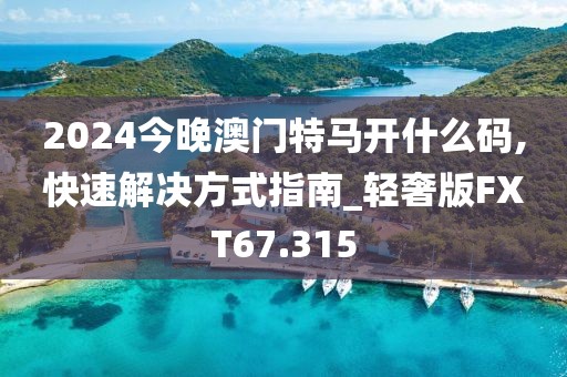 2024今晚澳门特马开什么码,快速解决方式指南_轻奢版FXT67.315