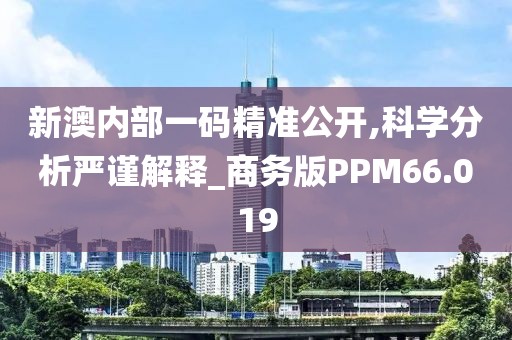 新澳内部一码精准公开,科学分析严谨解释_商务版PPM66.019