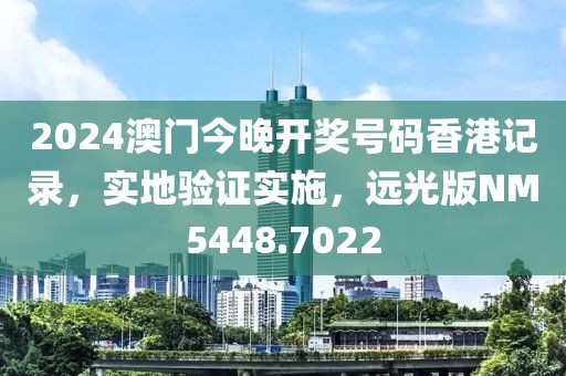 2024澳门今晚开奖号码香港记录，实地验证实施，远光版NM5448.7022