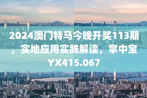 2024澳门特马今晚开奖113期，实地应用实践解读，掌中宝YX415.067