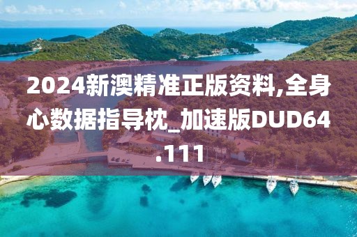 2024新澳精准正版资料,全身心数据指导枕_加速版DUD64.111