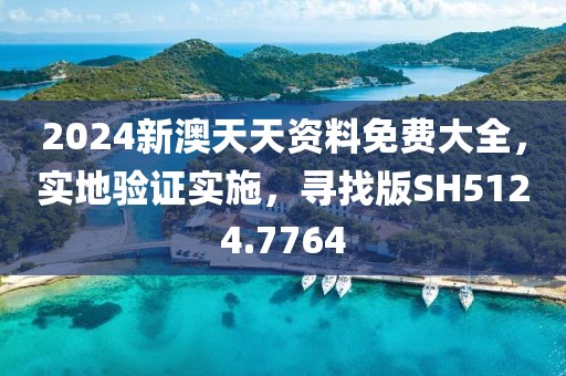 2024新澳天天资料免费大全，实地验证实施，寻找版SH5124.7764