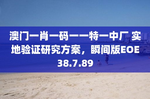 澳门一肖一码一一特一中厂 实地验证研究方案，瞬间版EOE38.7.89