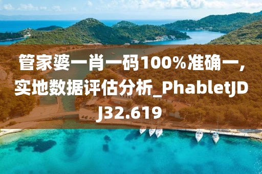 管家婆一肖一码100%准确一,实地数据评估分析_PhabletJDJ32.619