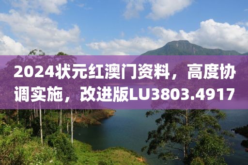 2024状元红澳门资料，高度协调实施，改进版LU3803.4917