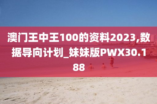 澳门王中王100的资料2023,数据导向计划_妹妹版PWX30.188