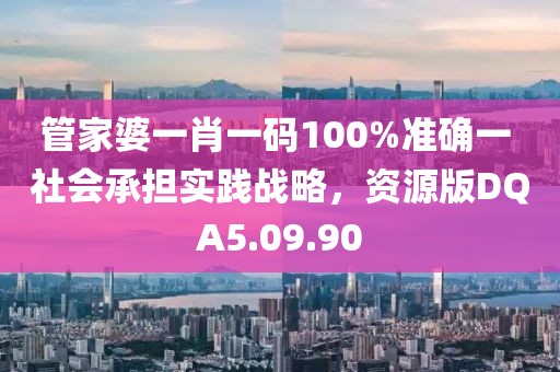 管家婆一肖一码100%准确一 社会承担实践战略，资源版DQA5.09.90