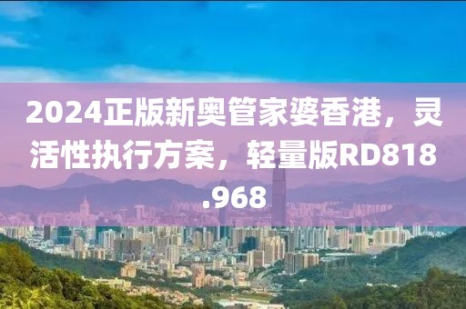 2024正版新奥管家婆香港，灵活性执行方案，轻量版RD818.968