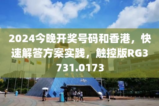 2024今晚开奖号码和香港，快速解答方案实践，触控版RG3731.0173