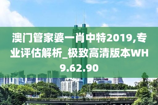 澳门管家婆一肖中特2019,专业评估解析_极致高清版本WH9.62.90