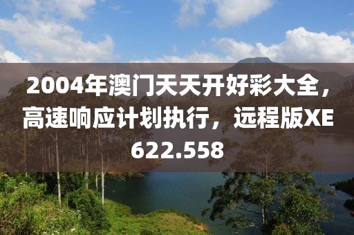 2004年澳门天天开好彩大全，高速响应计划执行，远程版XE622.558