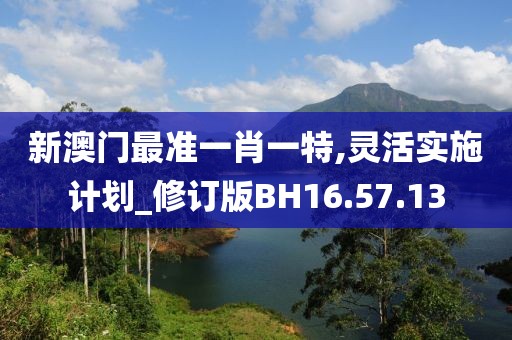 新澳门最准一肖一特,灵活实施计划_修订版BH16.57.13