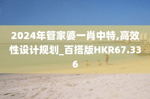 2024年管家婆一肖中特,高效性设计规划_百搭版HKR67.336