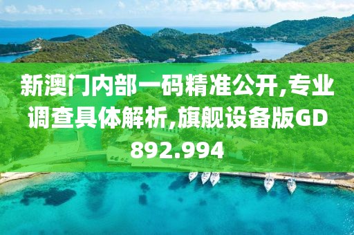 新澳门内部一码精准公开,专业调查具体解析,旗舰设备版GD892.994