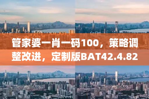 管家婆一肖一码100，策略调整改进，定制版BAT42.4.82