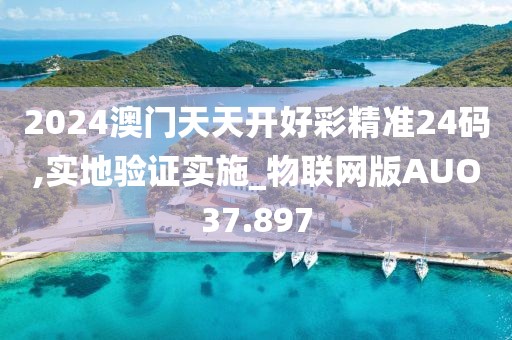 2024澳门天天开好彩精准24码,实地验证实施_物联网版AUO37.897