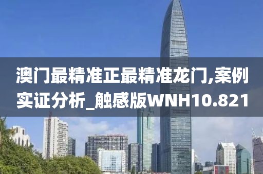 澳门最精准正最精准龙门,案例实证分析_触感版WNH10.821