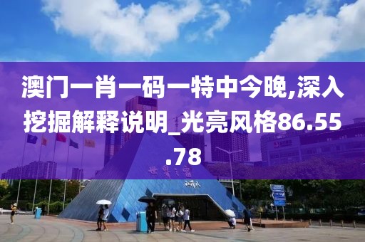 澳门一肖一码一特中今晚,深入挖掘解释说明_光亮风格86.55.78