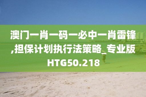 澳门一肖一码一必中一肖雷锋,担保计划执行法策略_专业版HTG50.218