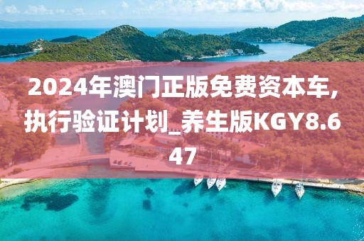 2024年澳门正版免费资本车,执行验证计划_养生版KGY8.647