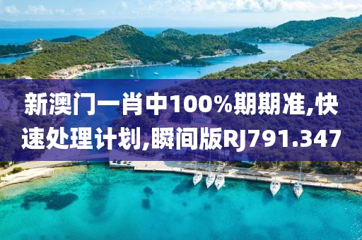 新澳门一肖中100%期期准,快速处理计划,瞬间版RJ791.347