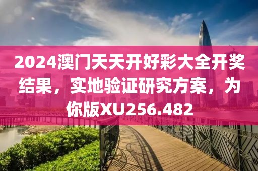 2024澳门天天开好彩大全开奖结果，实地验证研究方案，为你版XU256.482