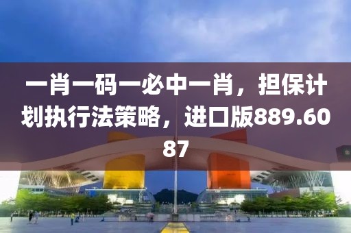 一肖一码一必中一肖，担保计划执行法策略，进口版889.6087