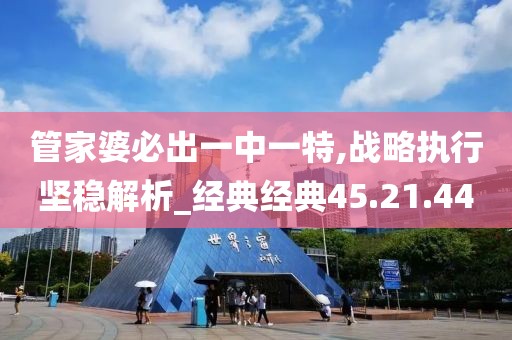 管家婆必出一中一特,战略执行坚稳解析_经典经典45.21.44