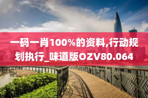 一码一肖100%的资料,行动规划执行_味道版OZV80.064