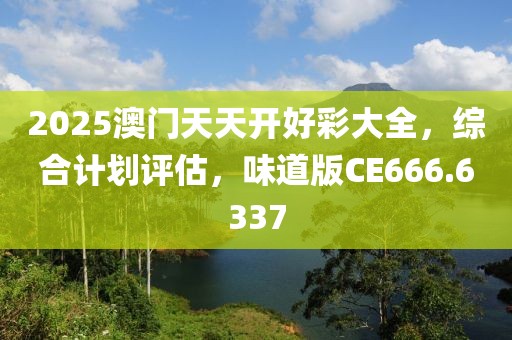 2025澳门天天开好彩大全，综合计划评估，味道版CE666.6337