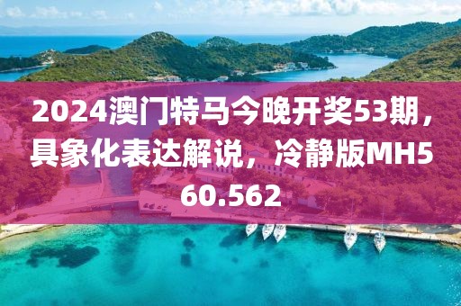 2024澳门特马今晚开奖53期，具象化表达解说，冷静版MH560.562