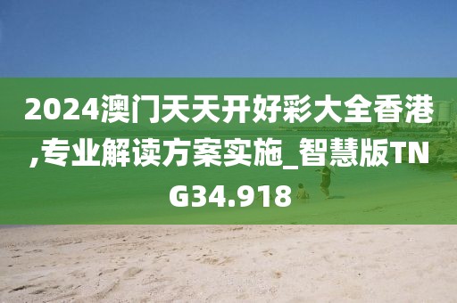 2024澳门天天开好彩大全香港,专业解读方案实施_智慧版TNG34.918