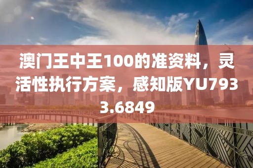 澳门王中王100的准资料，灵活性执行方案，感知版YU7933.6849
